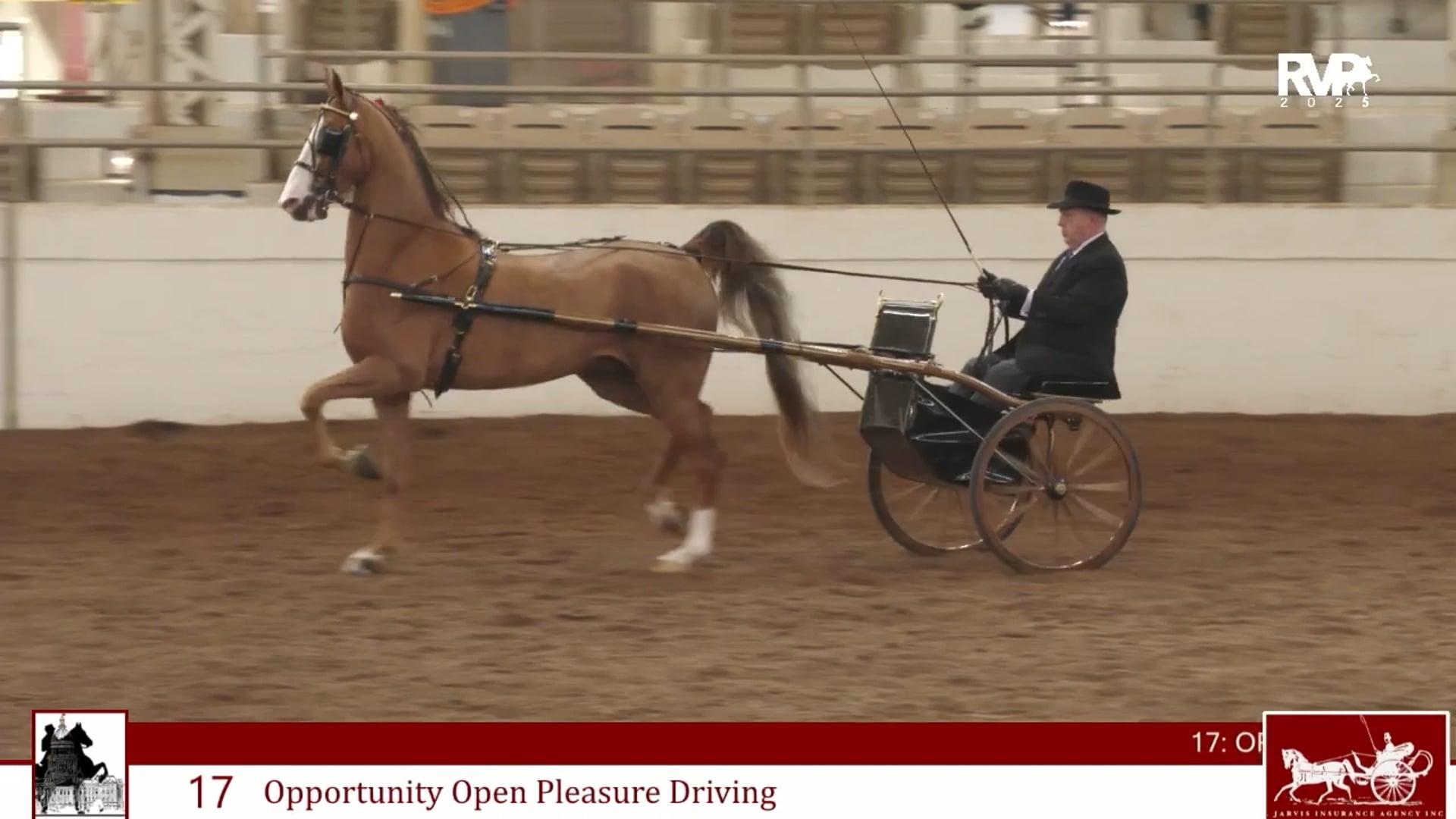 MW25 - Class 17 - Opportunity Open Pleasure Driving