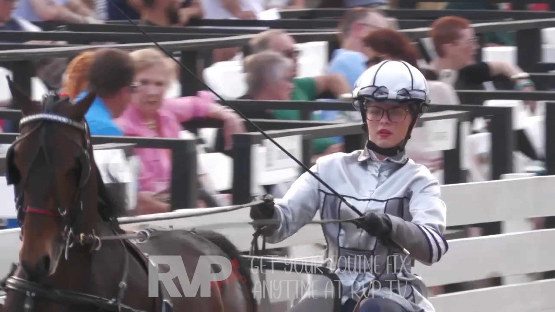 MCF25 - Class 62 - Amateur Harness Pony