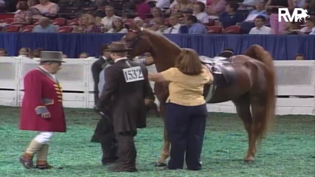 2007 WCHS Class 46 Junior Five Gaited...