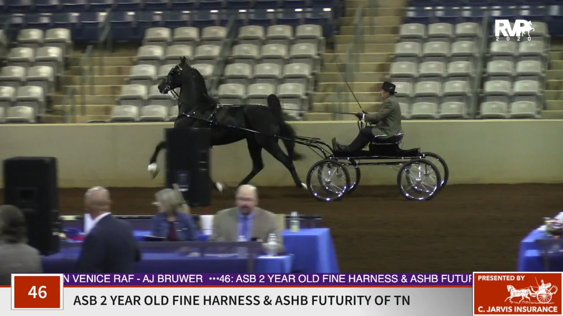 2020 SSFF - Class 46 ASB Two Year Old Fine Harness
& ASB Futurity of TN