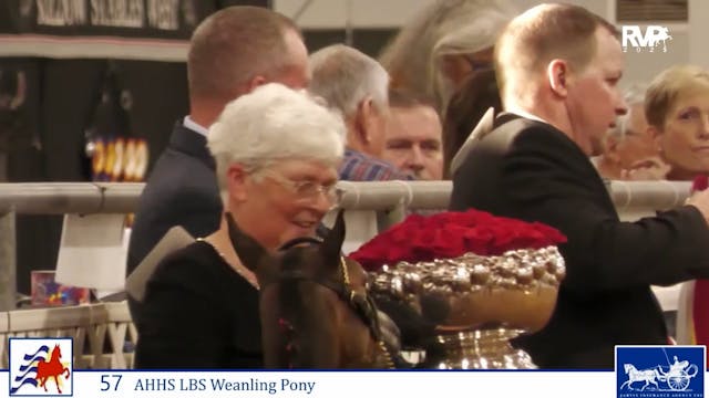 AAC25 - Class 57 - Remedy and Amber K...