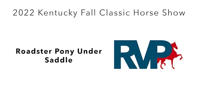 KYFC22 - Class 61 - Roadster Pony Und...