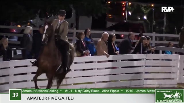 2017 RC - Class 39 Amateur Five Gaited  