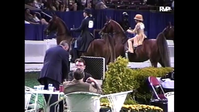 2007 WCHS - Class 34 Three Gaited Pon...