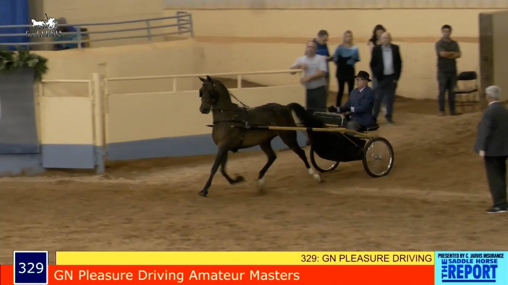 MGN21 - Class 329 - GN Pleasure Driving Amateurs Masters