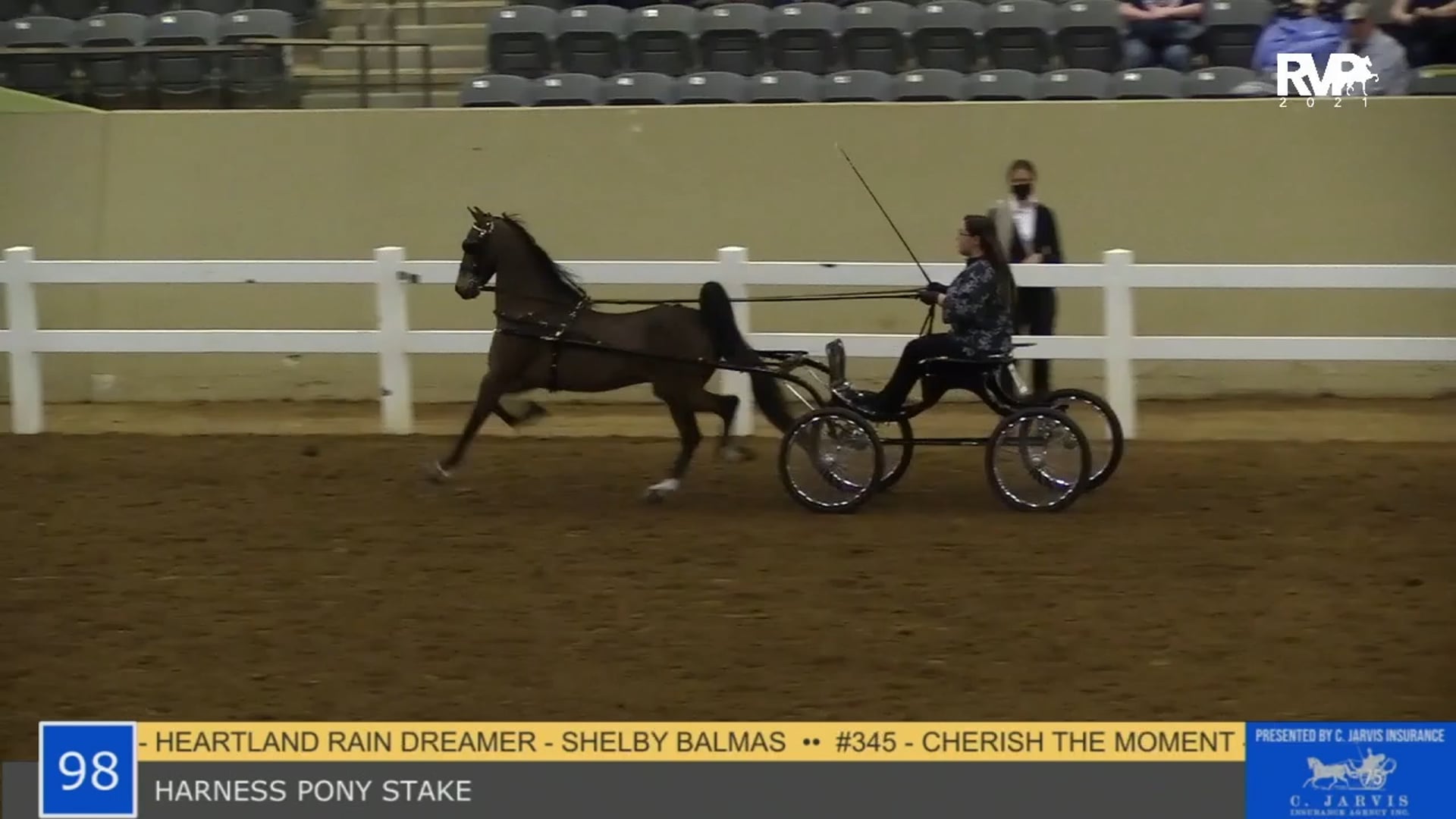 KYSP21 - Class 98 - Harness Pony Stake