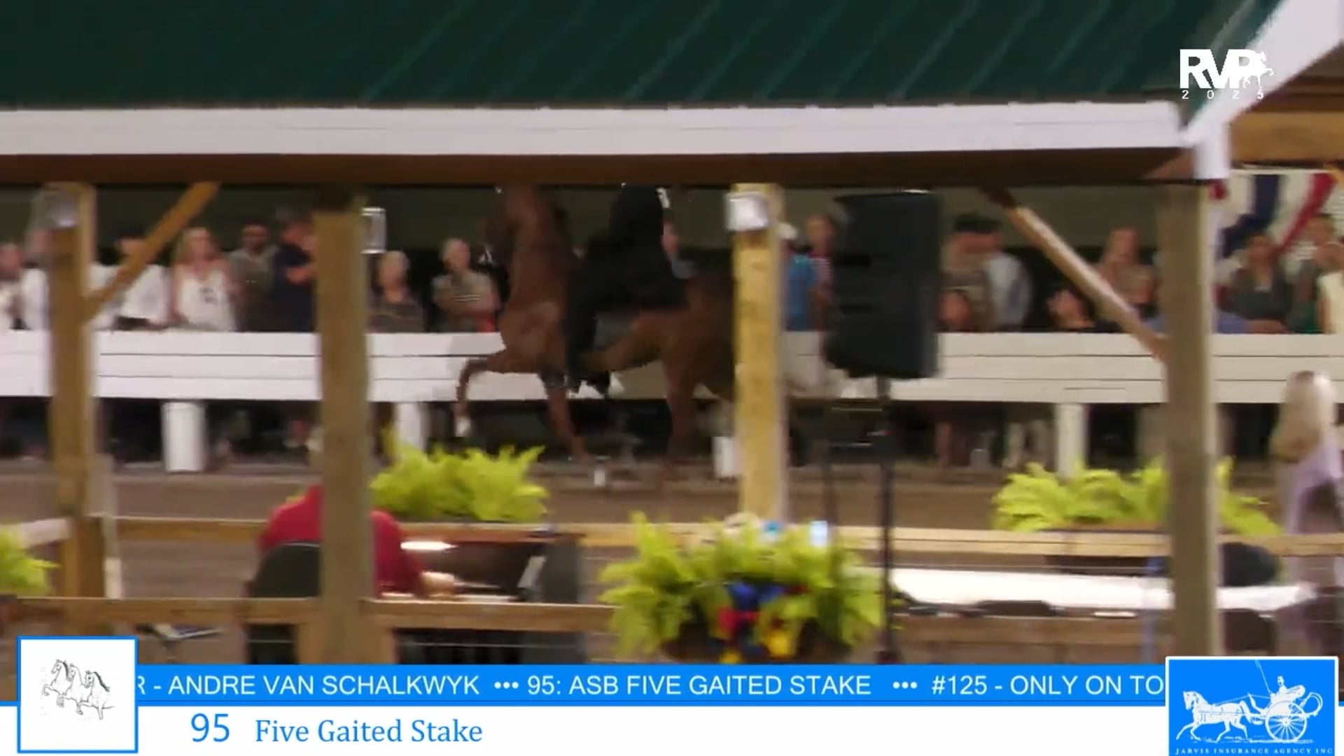 SSC25 - Class 95 - Five Gaited Stake