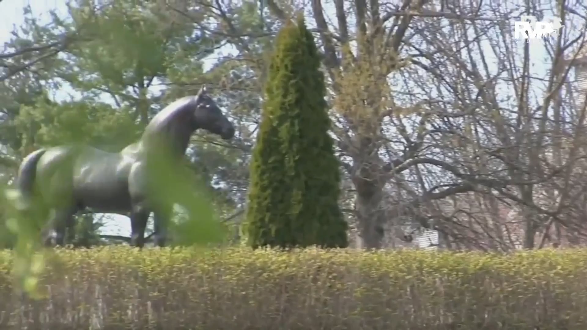 2021 Kentucky Spring Premier Horse Show - Friday Evening