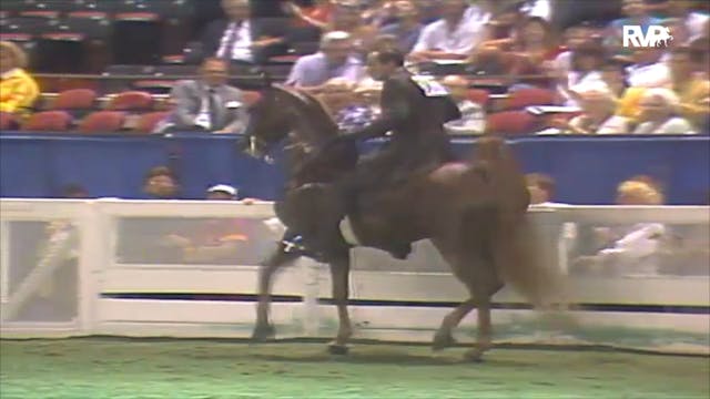 1992 WCHS Class 117 Three Gaited 15.2...