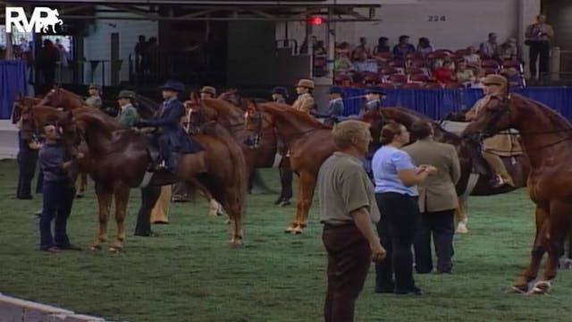 2004 World's Championship Horse Show ...