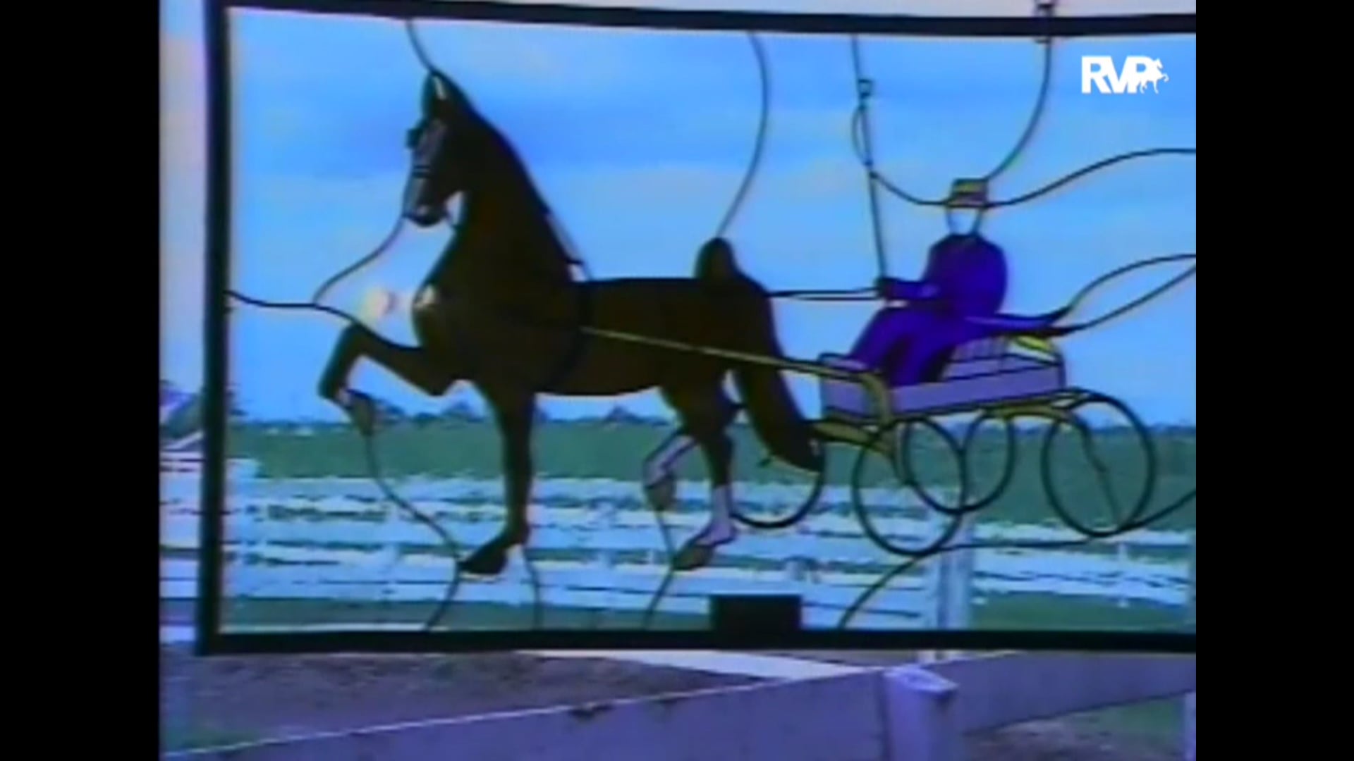 Looking Back at 1993 Robert Whitney's Induction Into the Hall of Fame