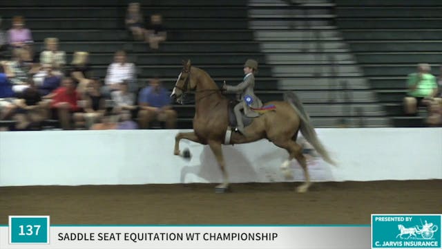 Class 137 - My Christmas Prince Champ...