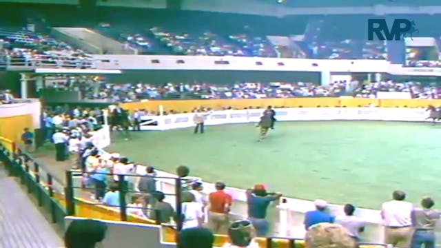 1987 WCHS Class 65 Amateur Five Gaite...