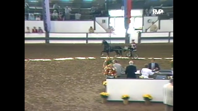 1988 Des Moines Spring Horse Show - J...