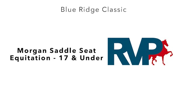 BR24 - Class 103 - Morgan Saddle Seat...