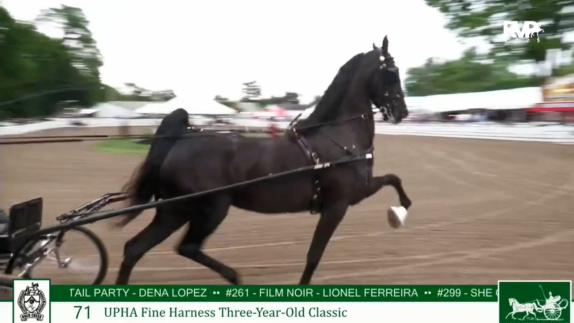 2025 Midwest Charity Horse Show - Tuesday Morning