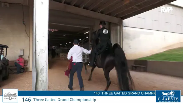 ASC26 - Class 146 - Three Gaited Gran...