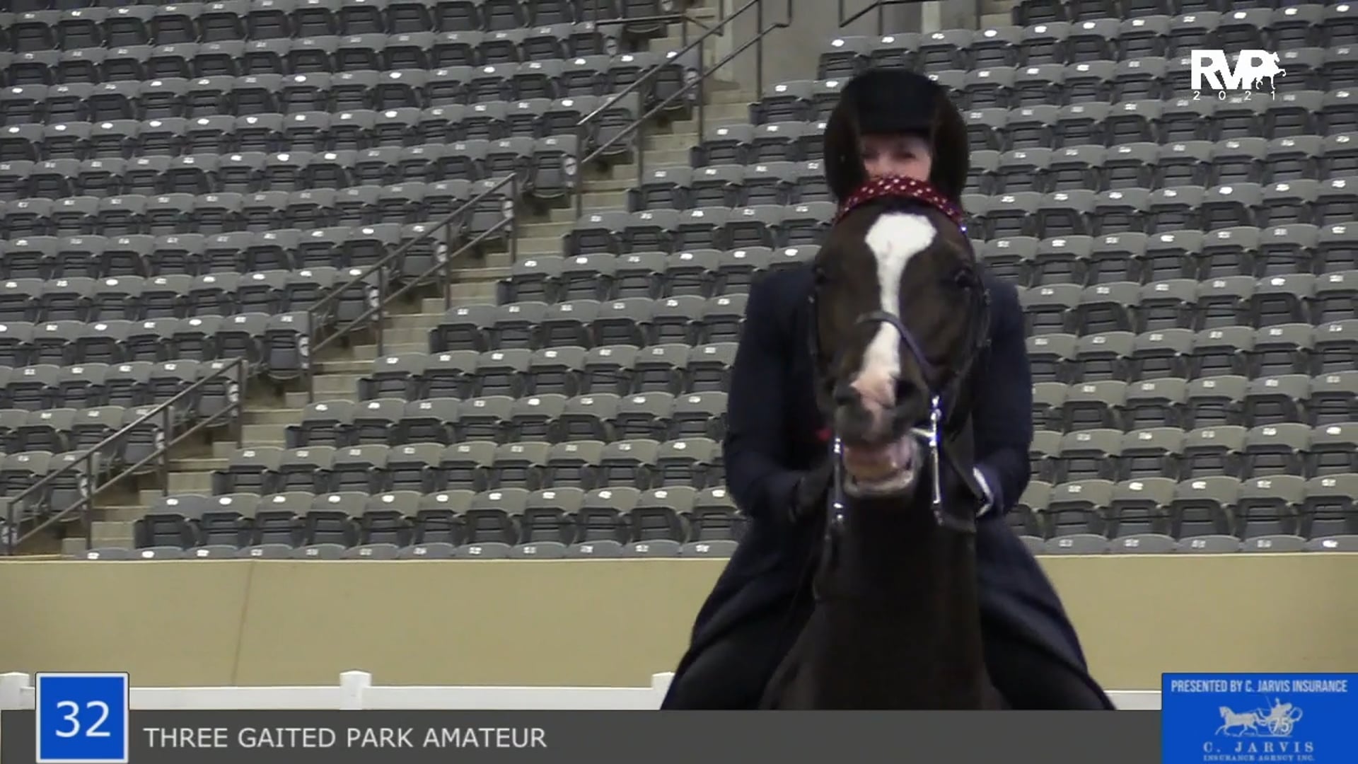 KYSP21 - Class 32 - Three Gaited Park Amateur