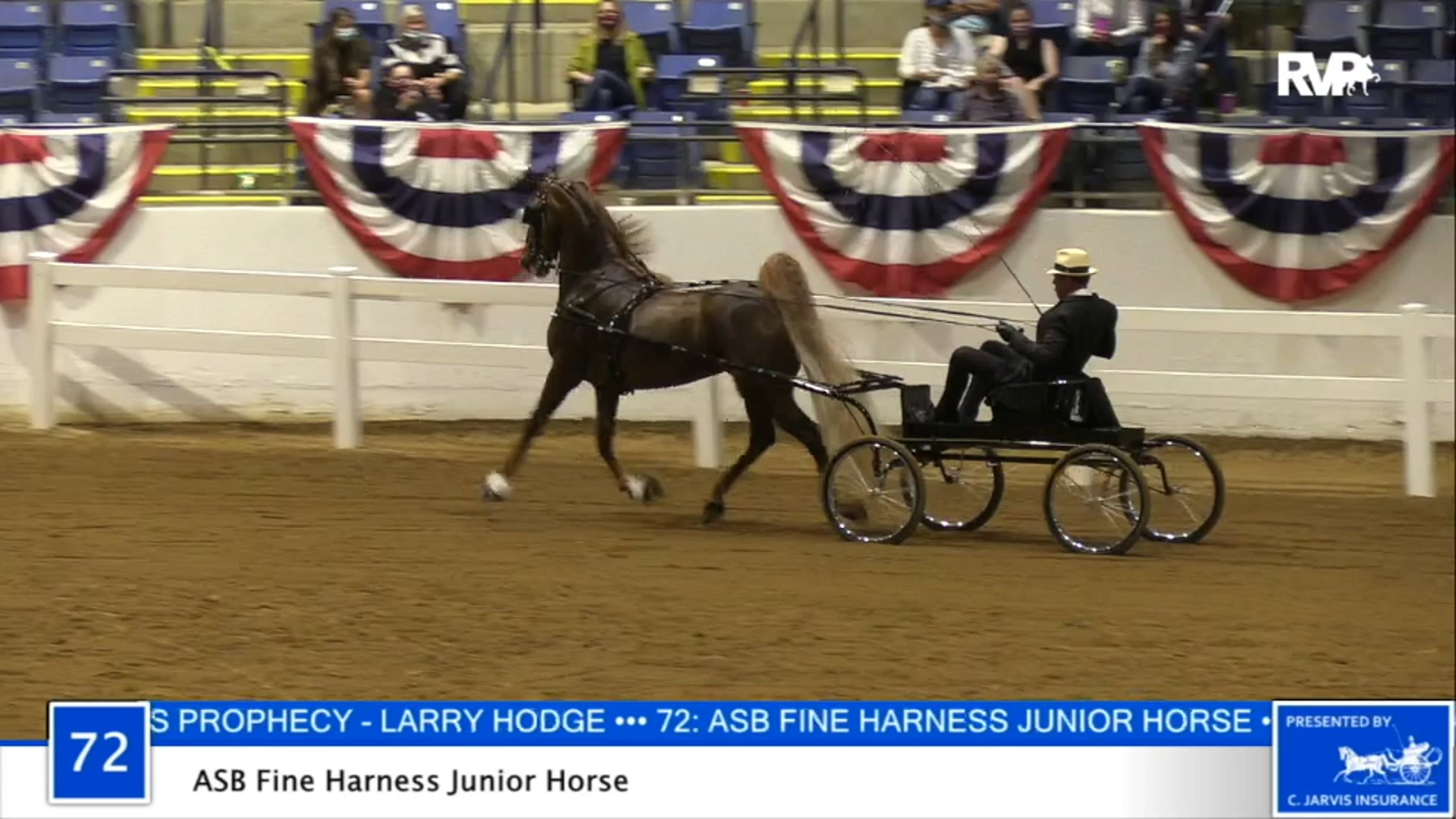 2020 BB - Class 72 ASB Fine Harness Junior Horse