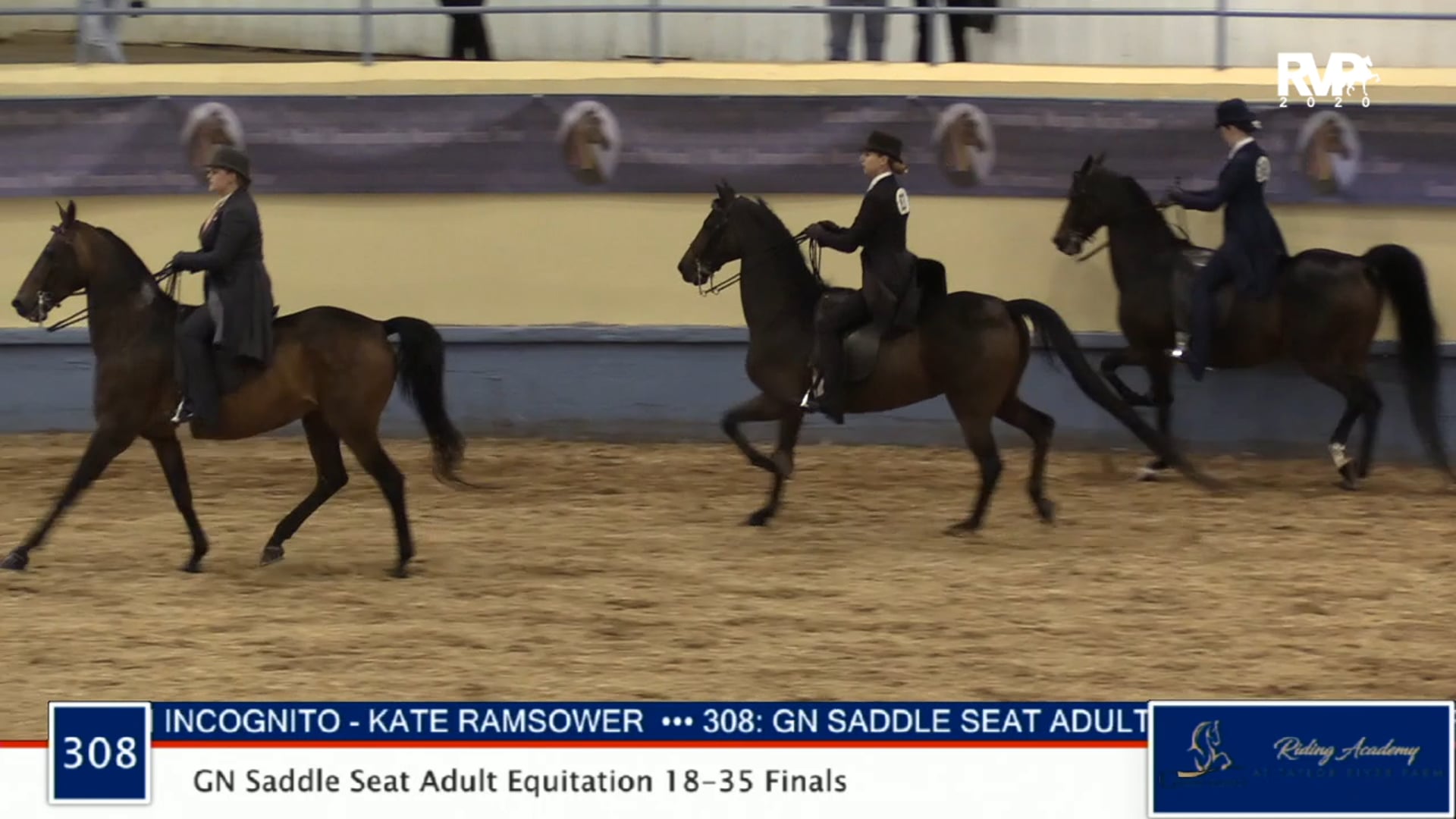 2020 MGN  - Class 308 GN Saddle Seat Equitation 18-35 Finals