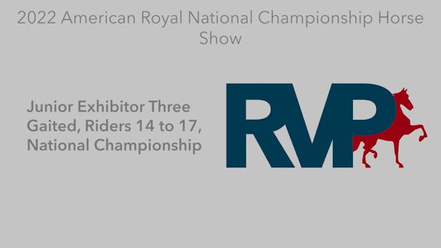 AR22 - Class 178 - Ladies Three Gaite...
