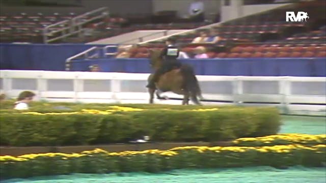 1992 WCHS Class 45 Equitation Open 17...