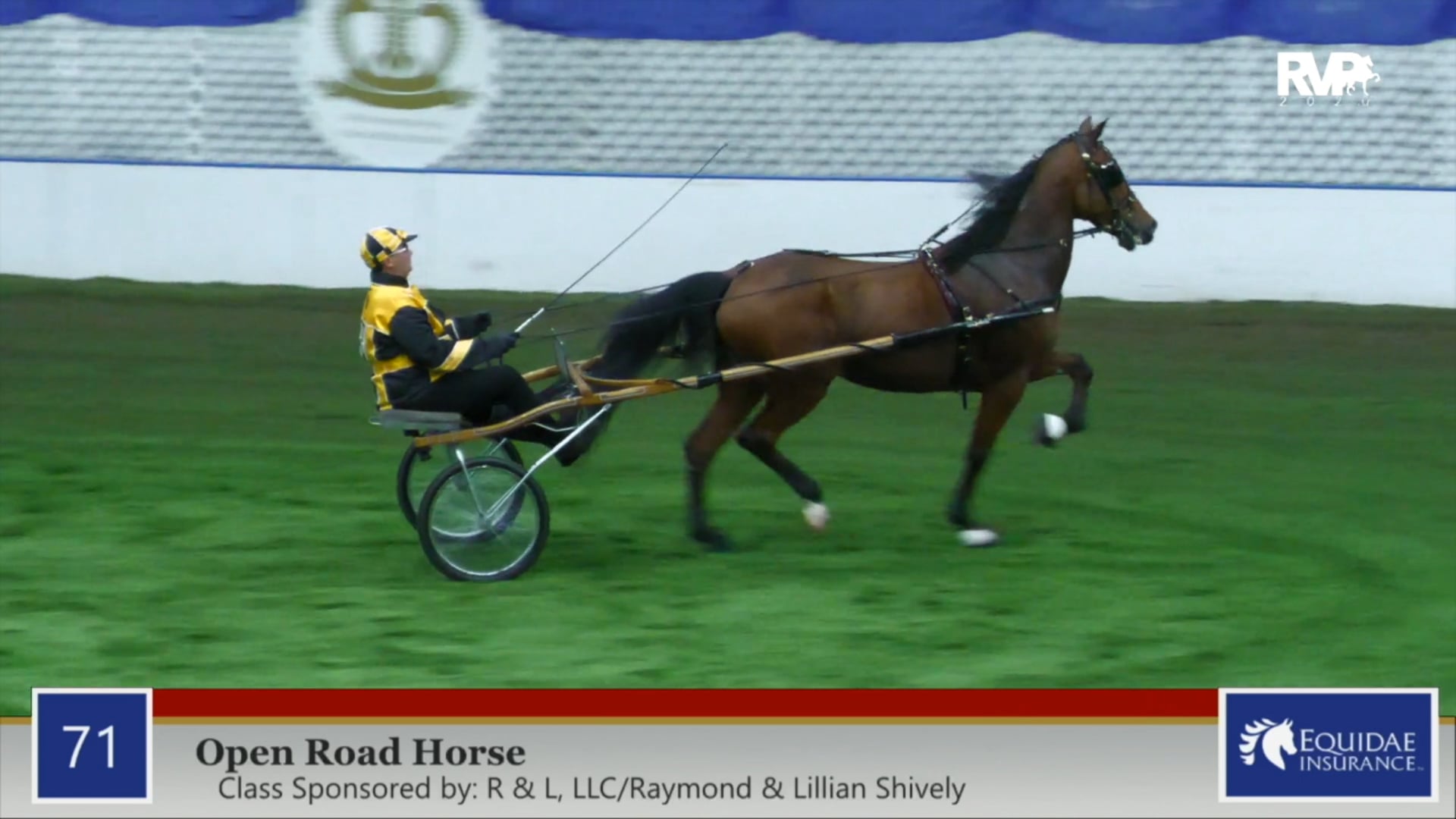 2020 AR - Class 71 Open Road Horse