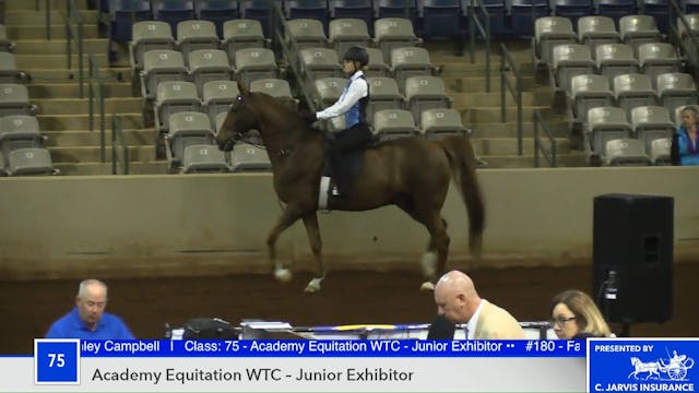 2018 Southern Saddlebred Spring Fling...