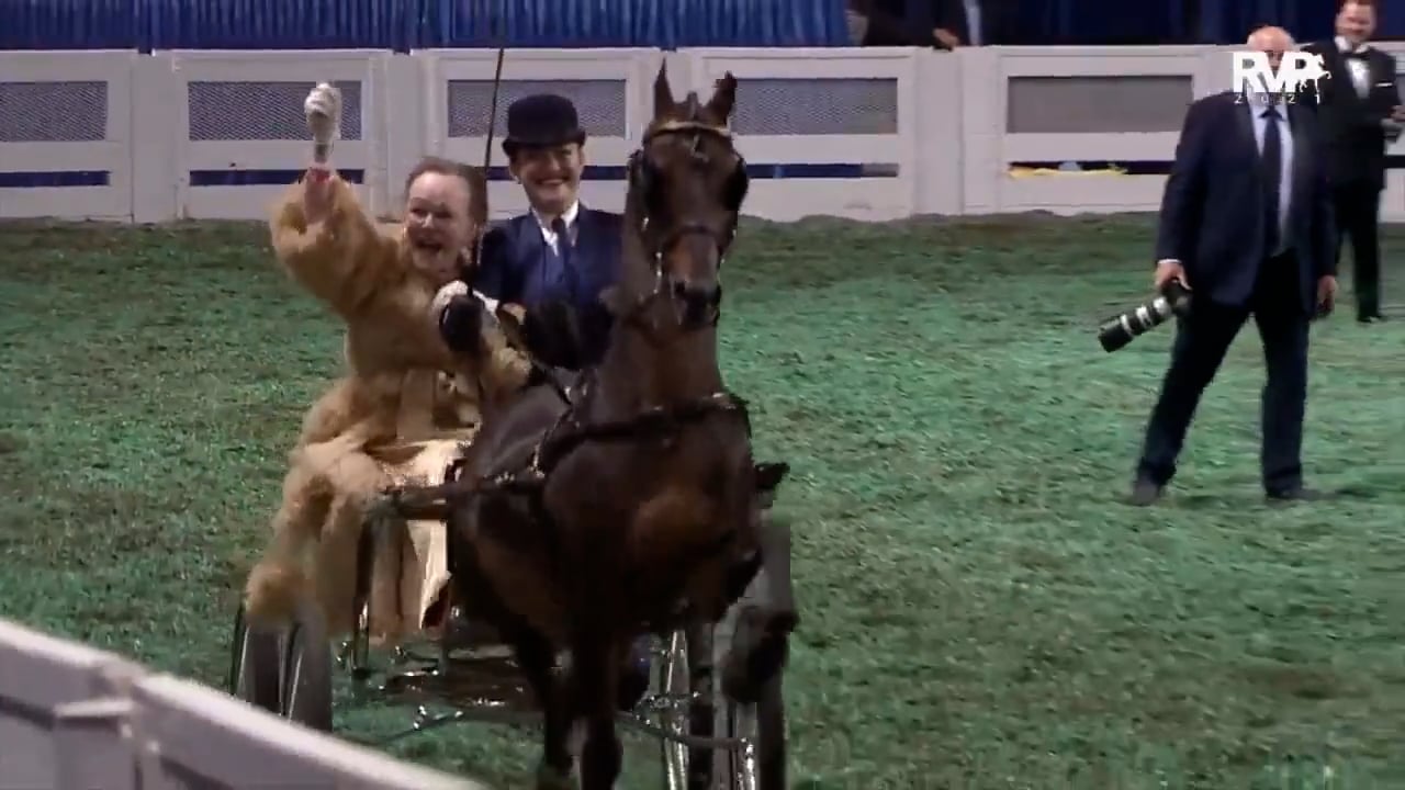 2025 World's Championship Horse Show - First Saturday Evening