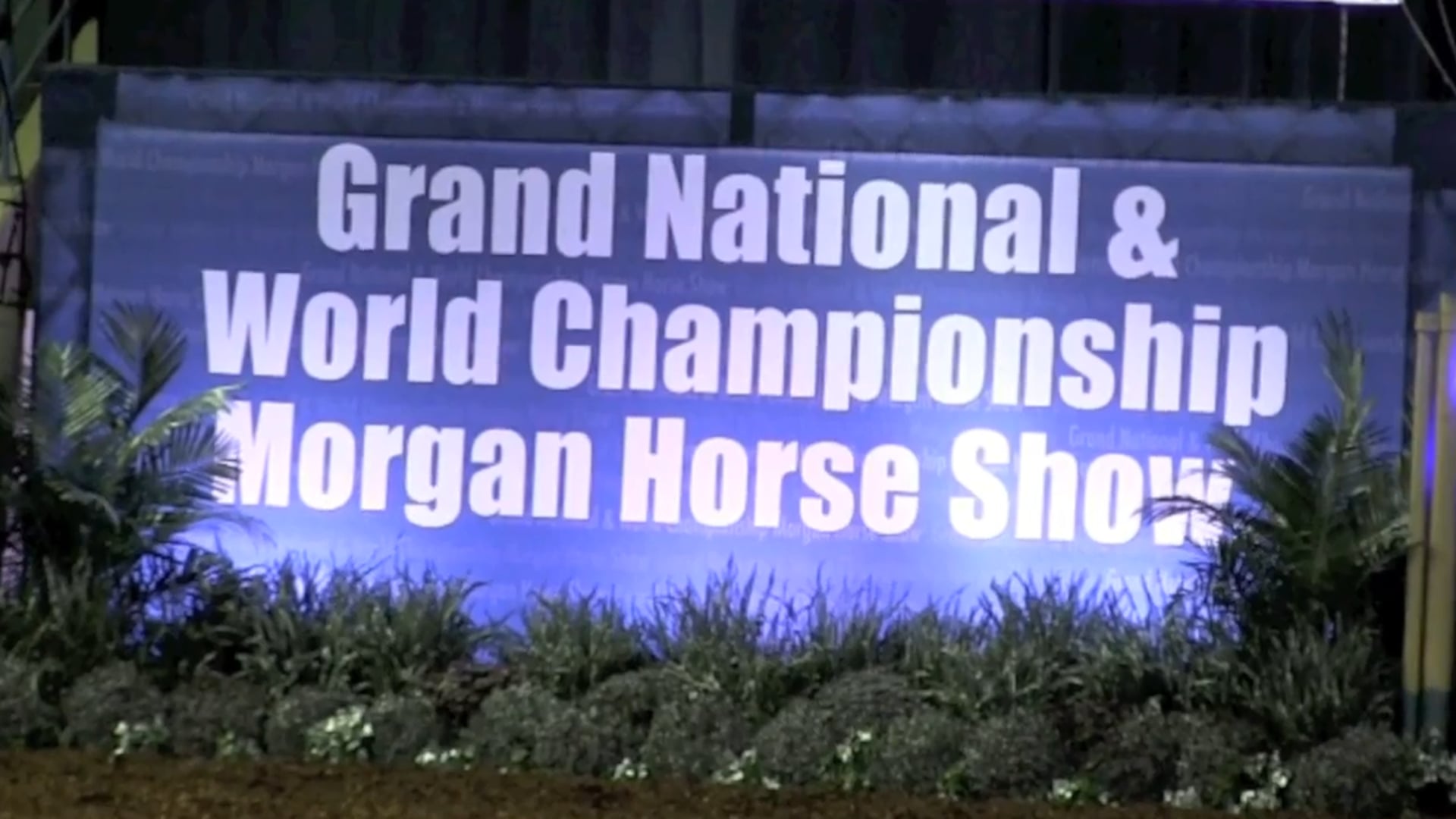 MGN17 - Class 20 - GN Five-Year-Old & Older Mare