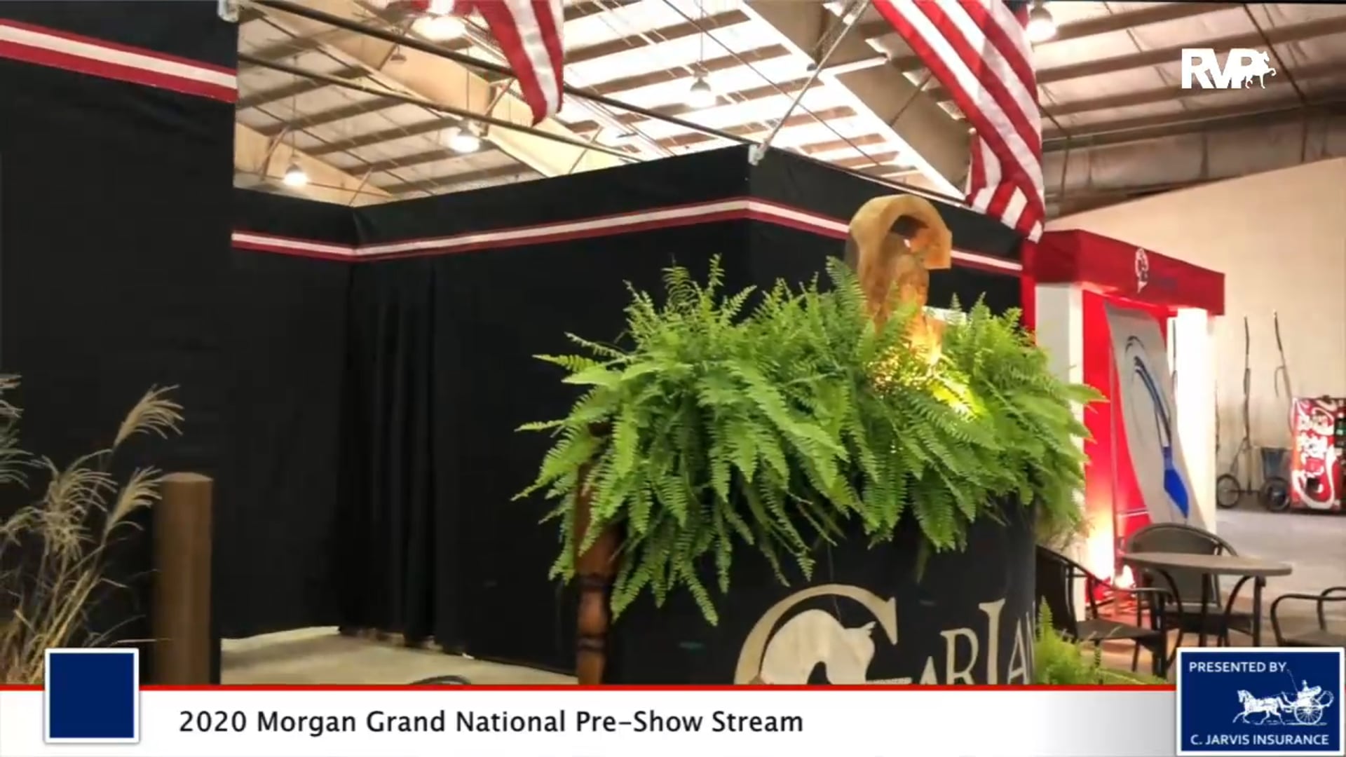 2020 MGN - 10:08 - Preshow Stream 