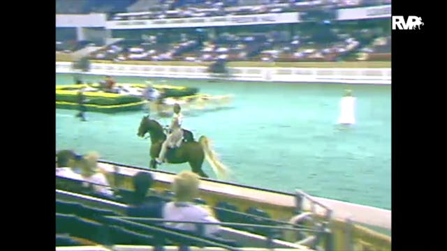 1988 WCHS Class 58 Five Gaited Pony R...