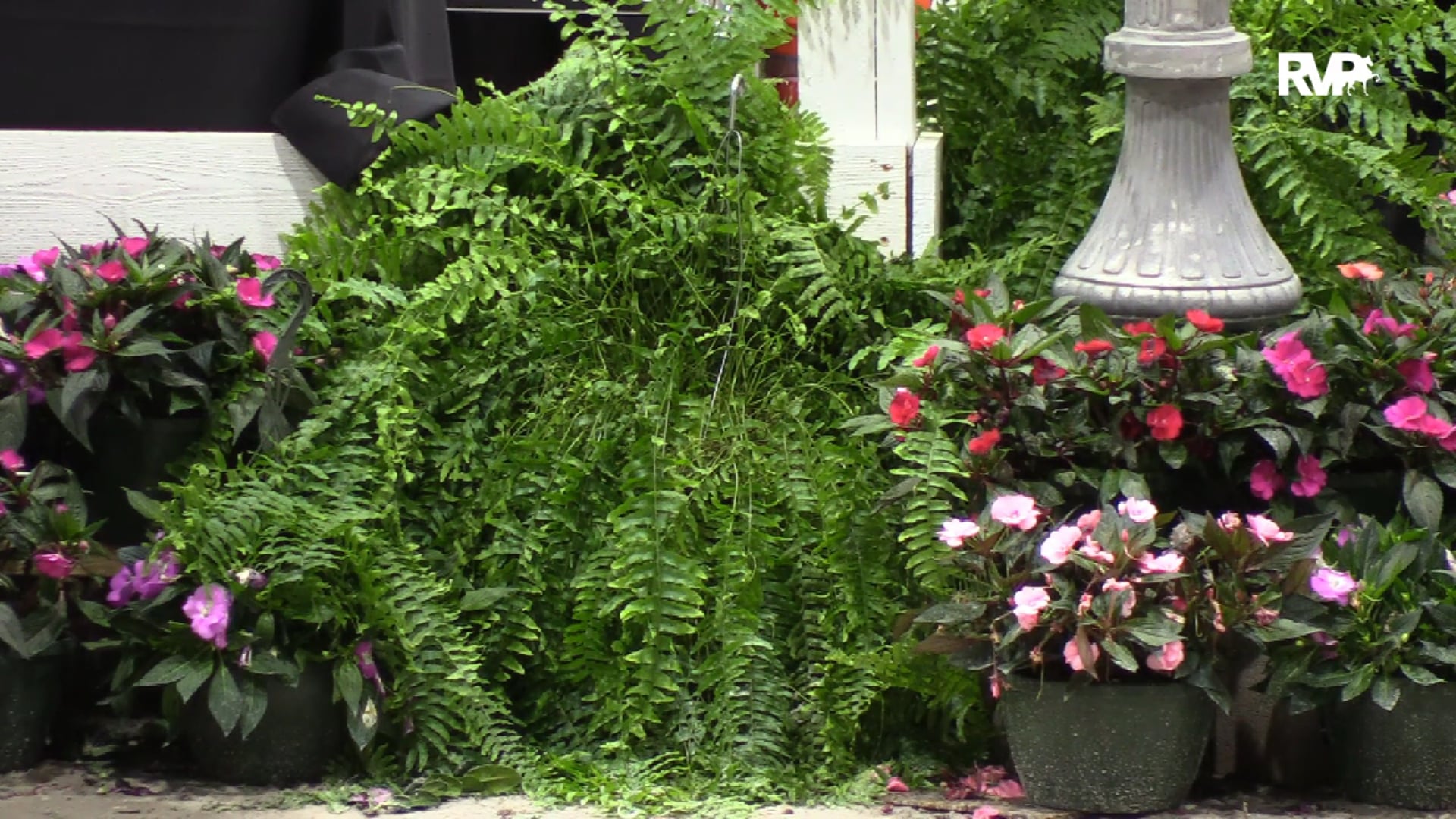 The Pin Oak Charity Horse Show 2019 - Saturday Evening