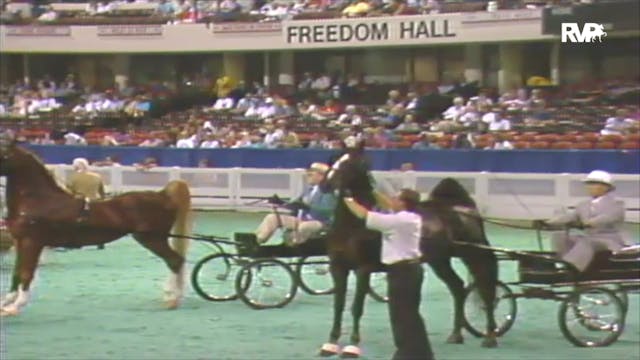 1992 WCHS Class 60 Amateur Fine Harness