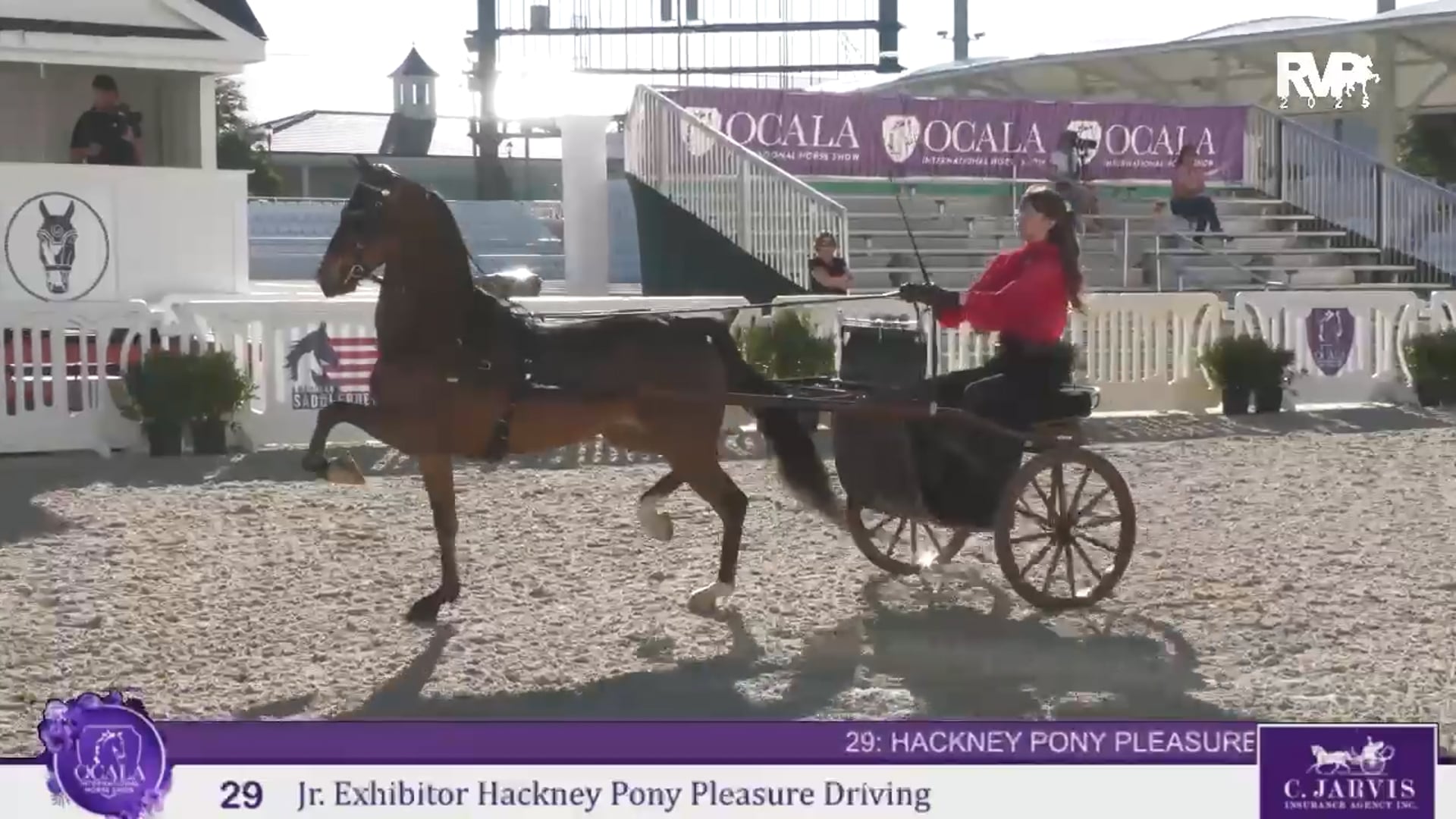 OI25 - Class 29 - Junior Exhibitor Hackney Pony Pleasure Driving