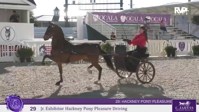 OI25 - Class 29 - Junior Exhibitor Ha...