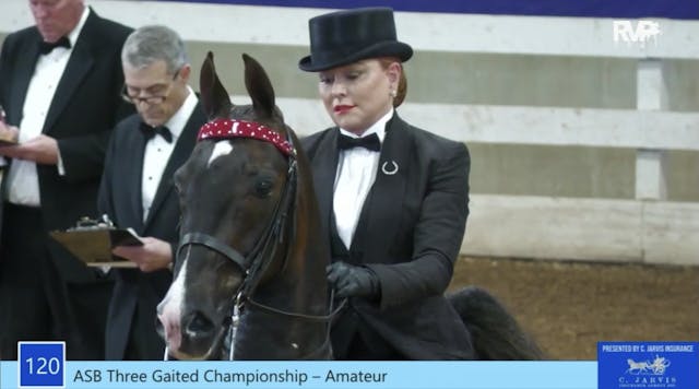 ASC21 - Class 120 - ASB Three Gaited ...