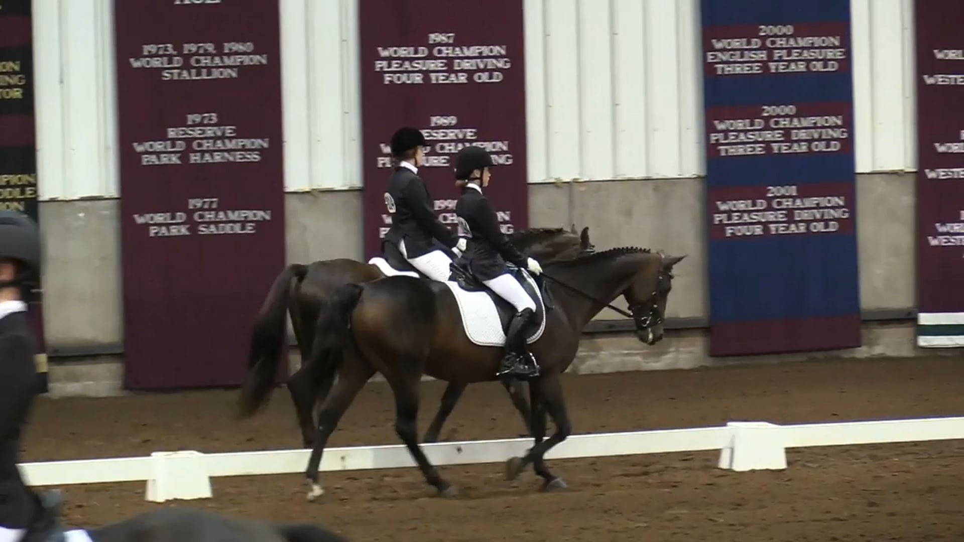 2017 MGN - Sport Horse 1 - Saturday Morning