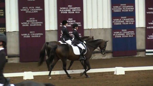 2017 MGN - Sport Horse 1 - Saturday M...