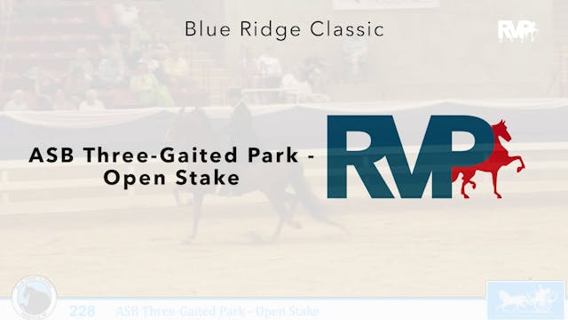 BR24 - Class 228 - ASB Three-Gaited P...