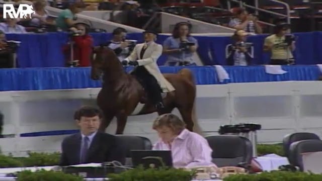 2004 World's Championship Horse Show ...