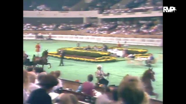 1989 WCHS Class 35 ASHA Kentucky Futu...