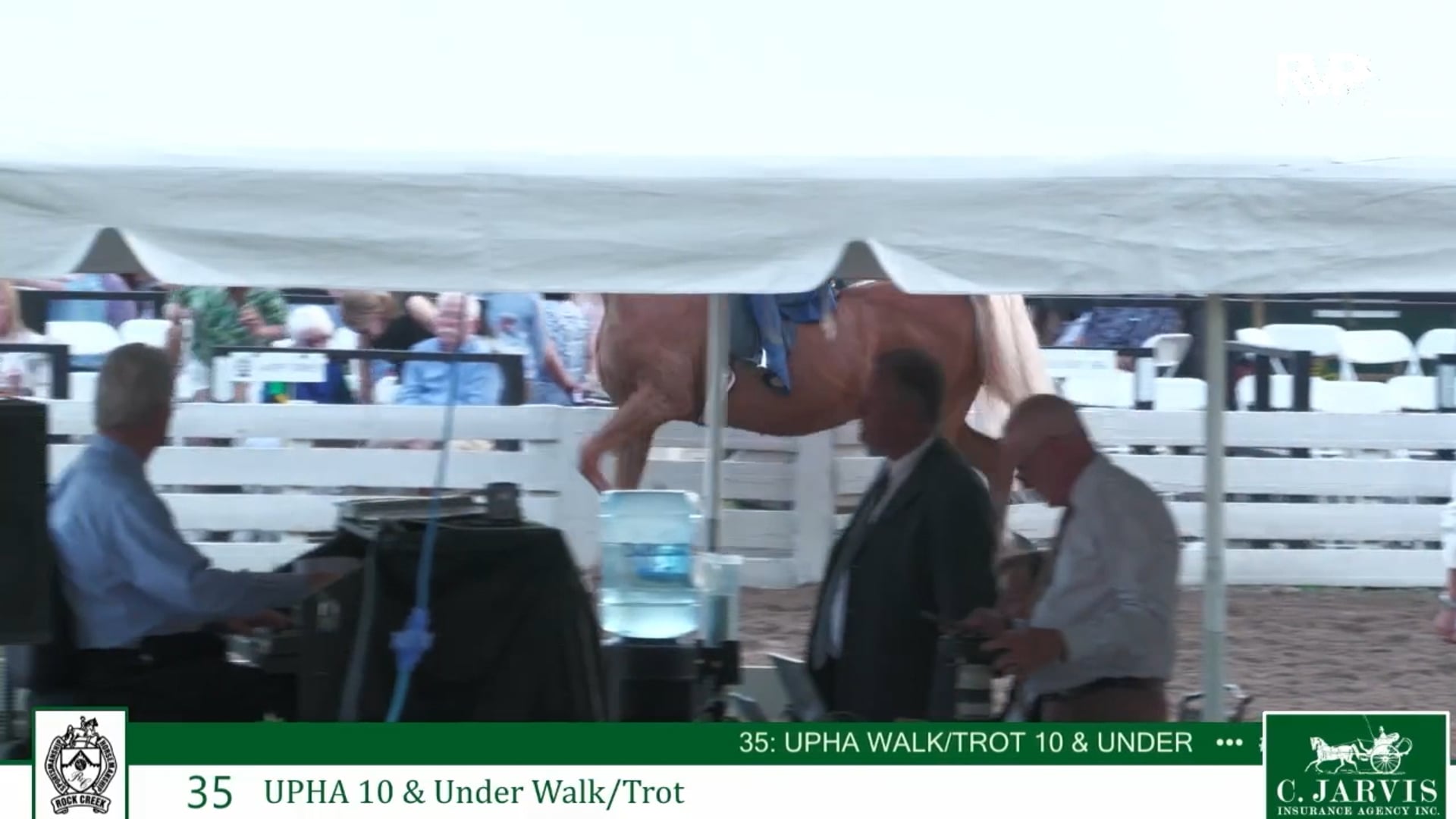 RC26 - Class 35 - UPHA 10 & Under Walk-Trot