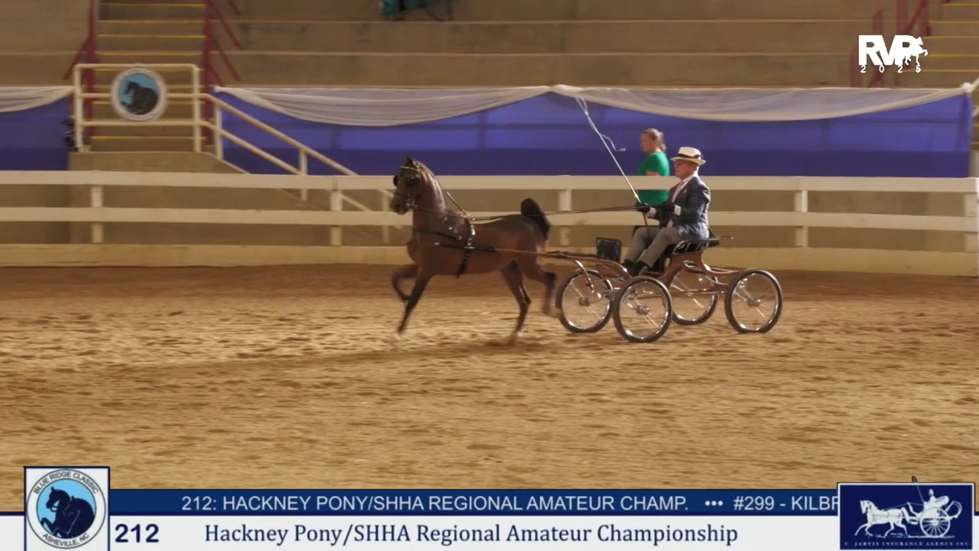 BRC25 - Class 212 - Hackney Pony & SHHA Regional Amateur Championship
