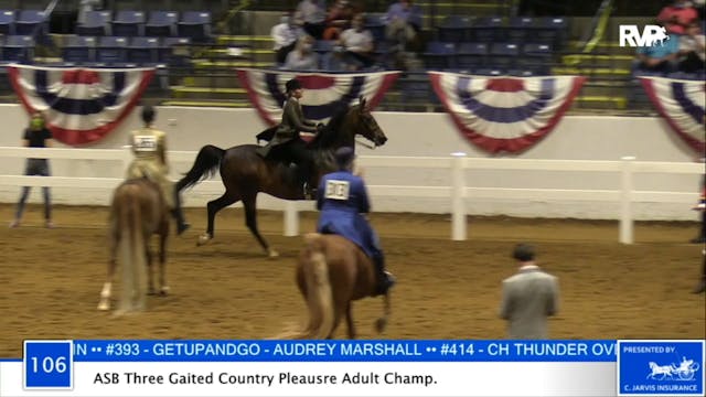 2020 BB - Class 106 ASB Three Gaited ...