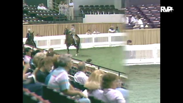 1988 WCHS Class 120 National Horse Sh...
