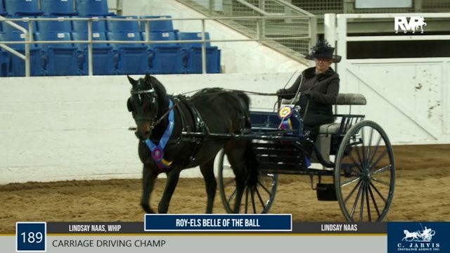CC22 - Class 189 - Roy-Els Belle of The Ball & Lindsay NAAS, Whip