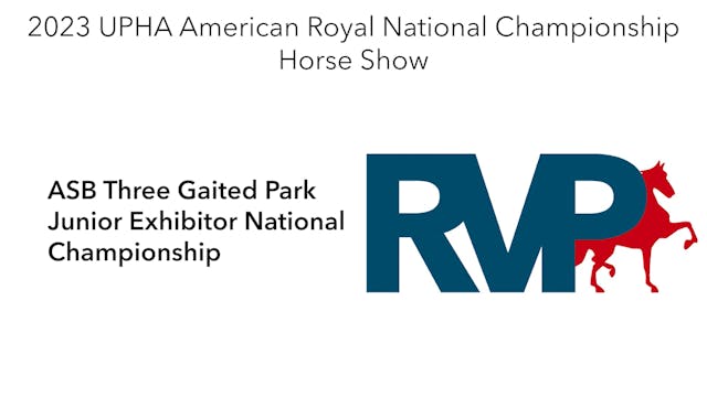 AR23 - Class 170 - ASB Three Gaited P...