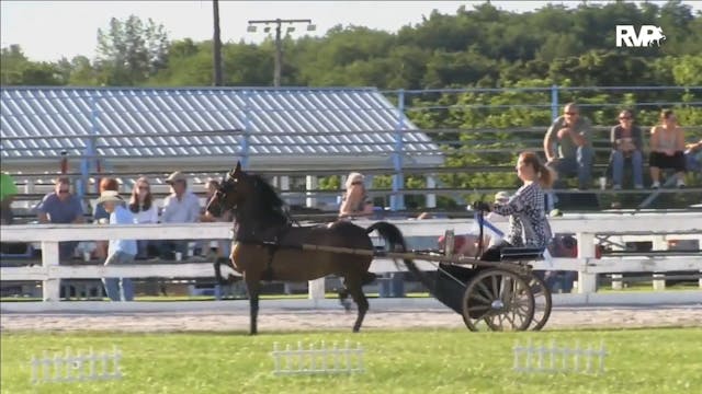 MCF17- Wednesday Evening