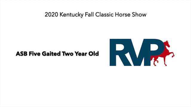 KFC 2020 - Class 54 ASB Five Gaited T...